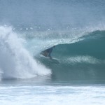 moniteurs de surf de Labenne