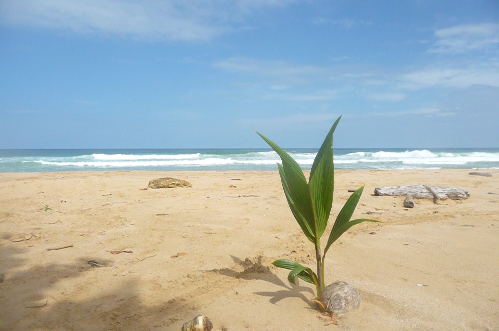 planète surf