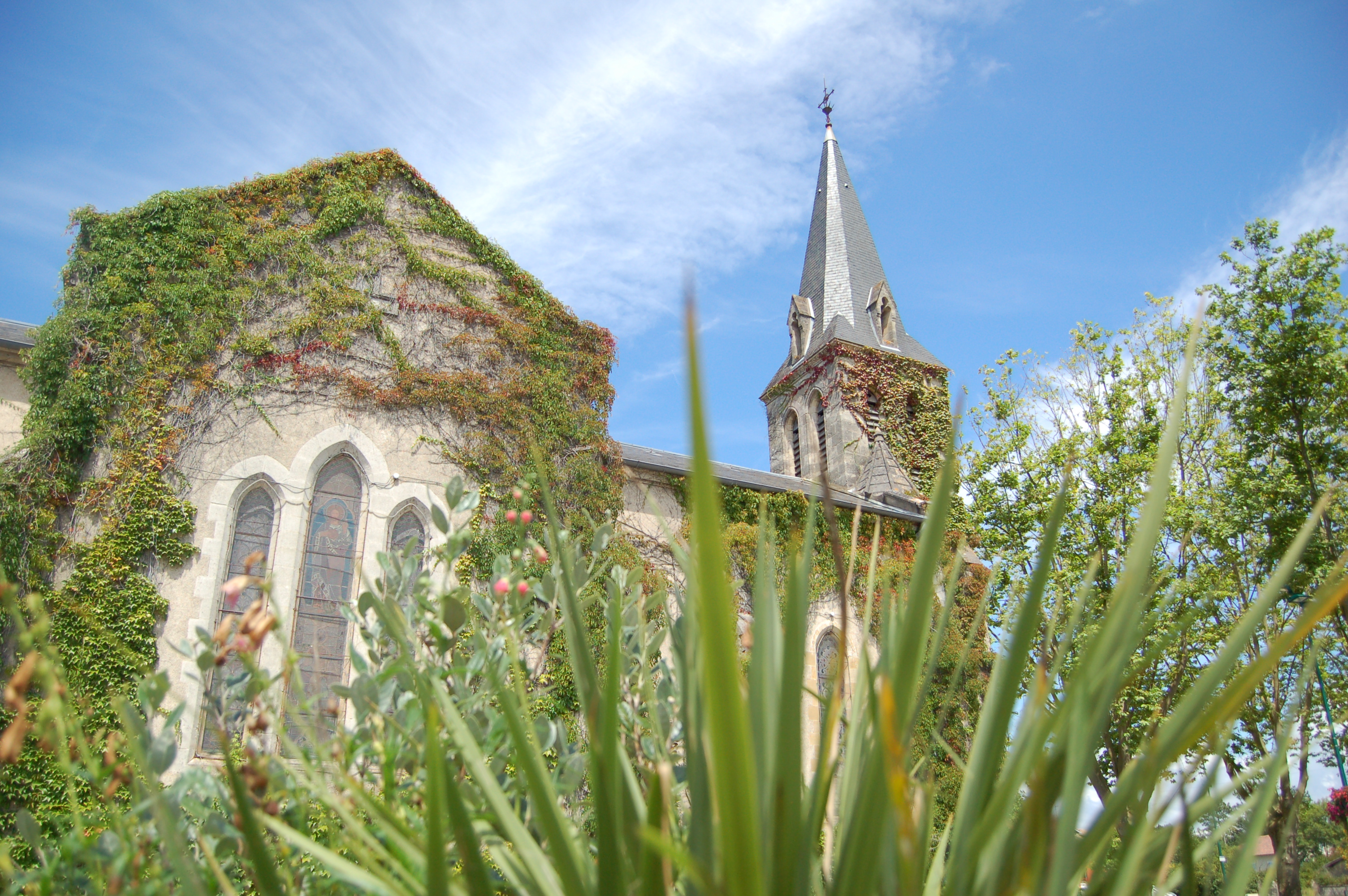 tourisme ,région , Landes