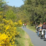 tourisme ,région , Landes