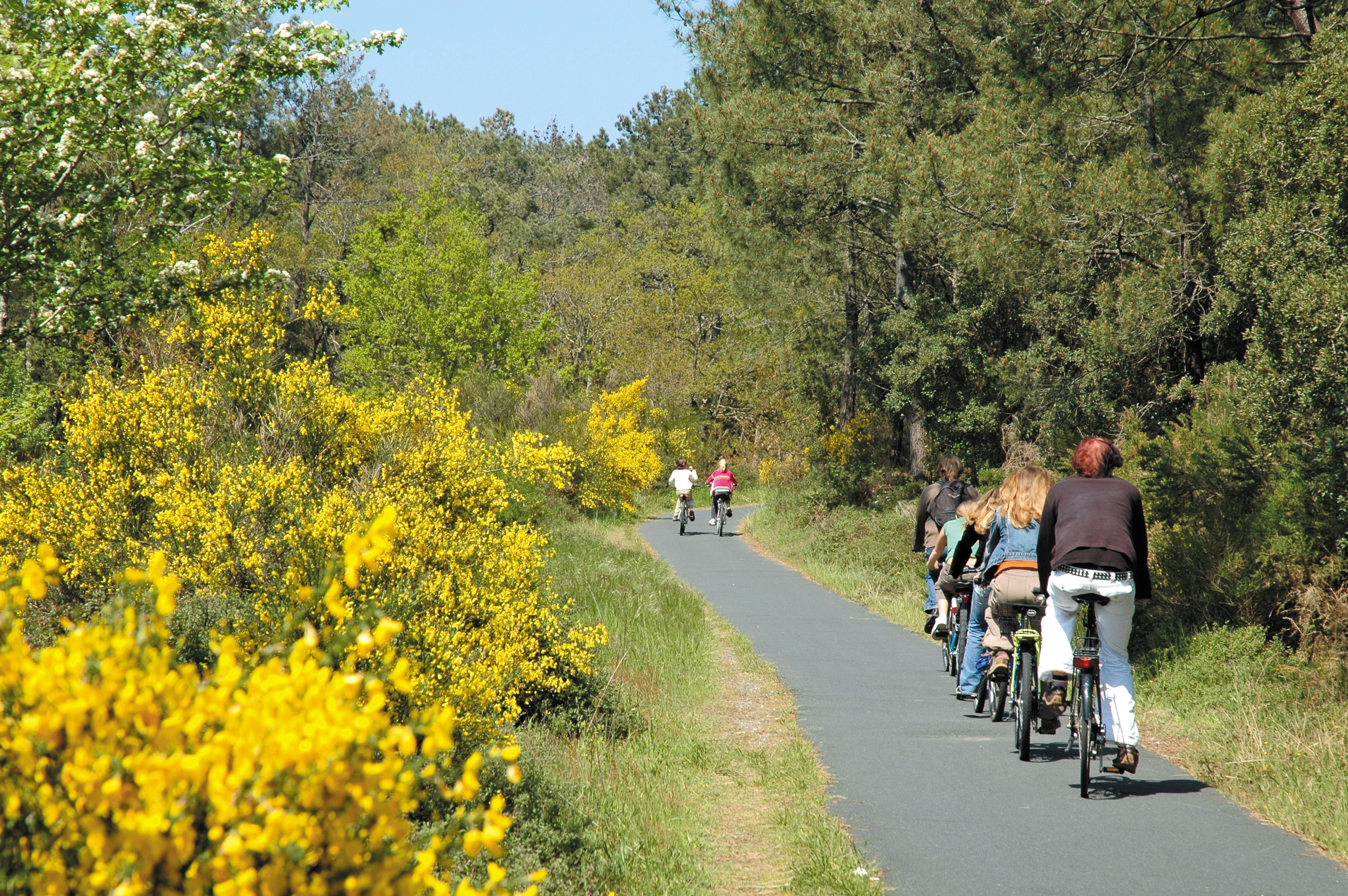 tourisme ,région , Landes