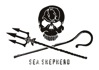 sea sheperd 99 70